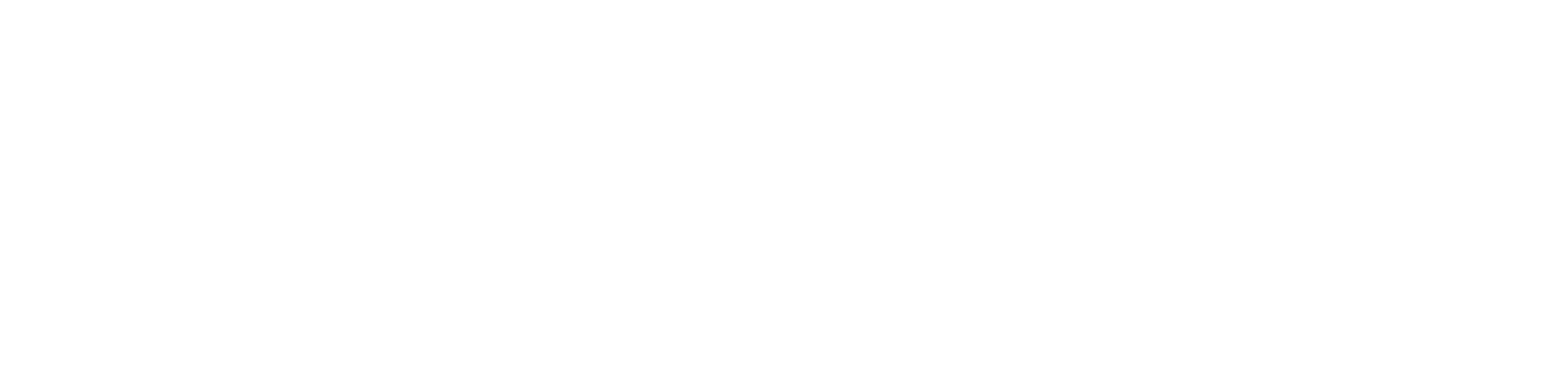 Beautyflare Logo